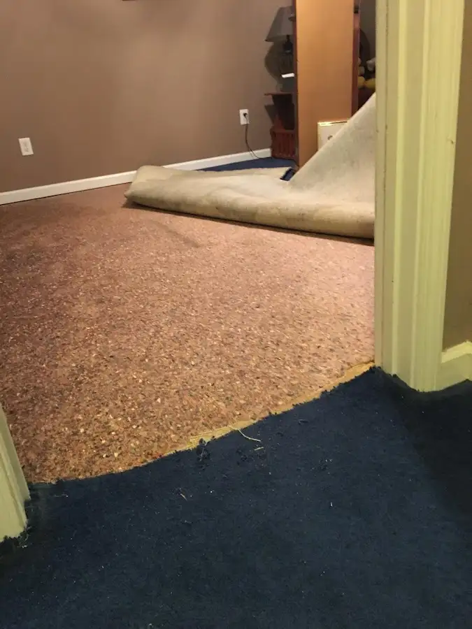 Carpet pad removal revealing water damage during Drying & Dehumidification in Sylvester