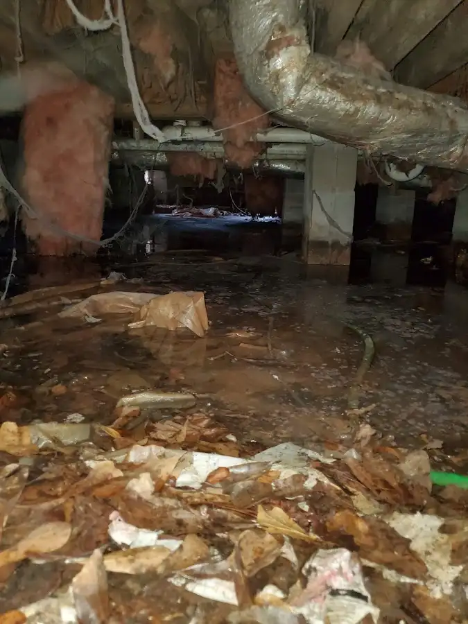 Crawl space flood assessment for Leak Detection & Repair in Sylvester