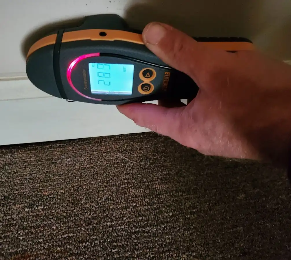 Moisture detection at baseboard during Mold Inspection & Testing in Sylvester